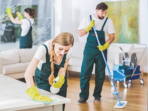 Move-In & Turnover Cleaning in Georgia