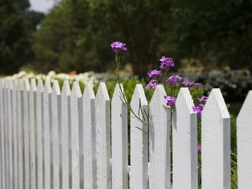 Fence Painting & Repair in Wrexham