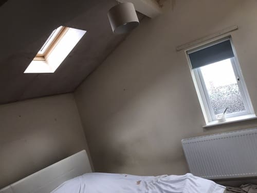 Fence Painting & Repair Wrexham