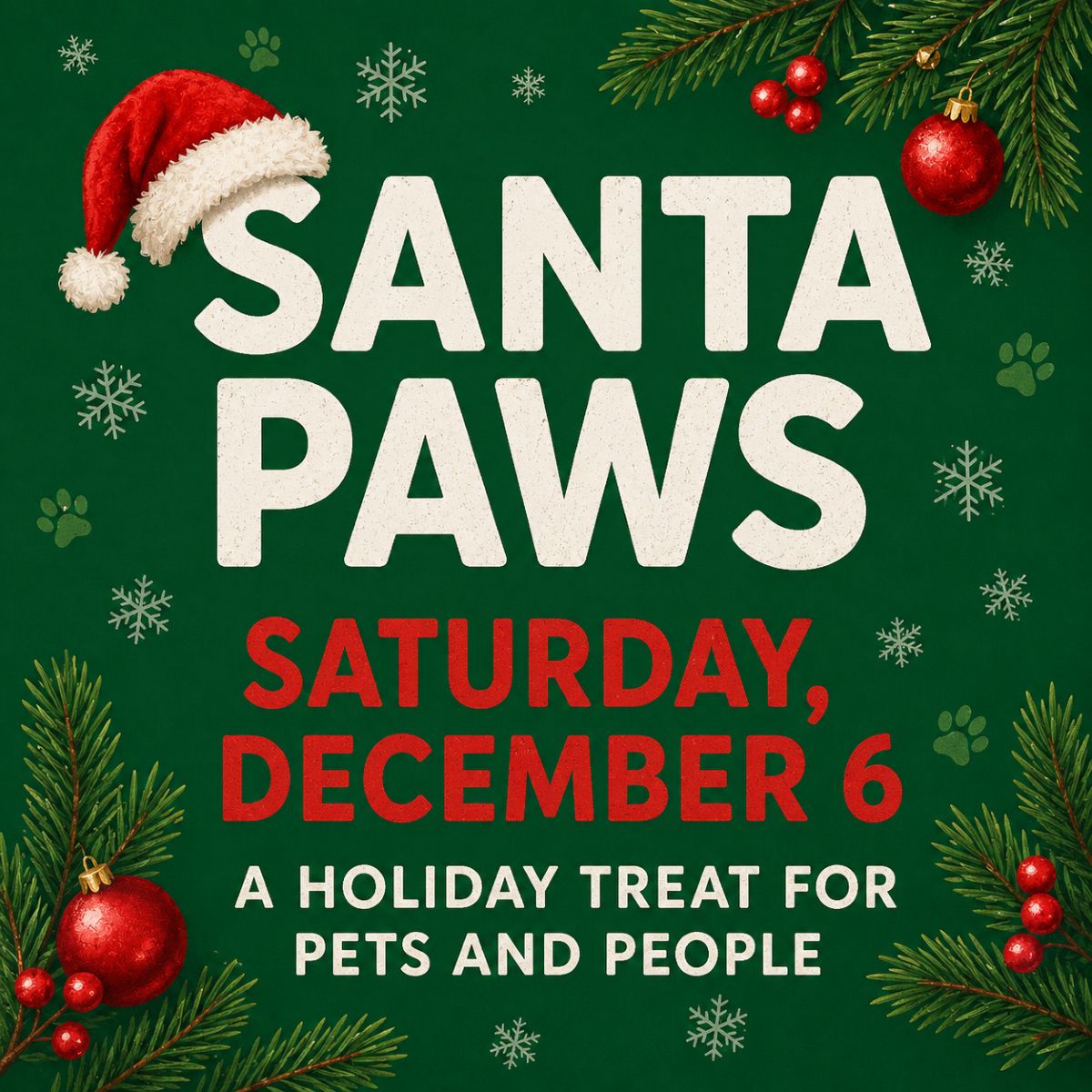 Santa Paws Longmont December 6 2026