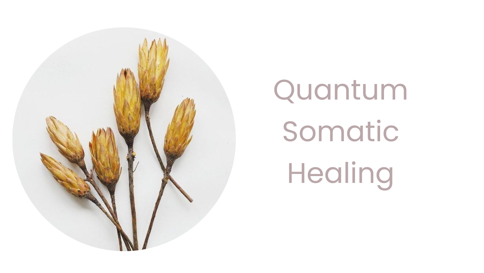 Somatic Flower Quantum Somatic Healing