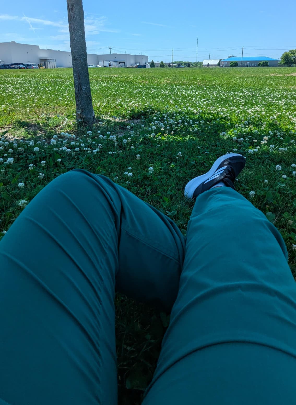 pharmacist resting in a field