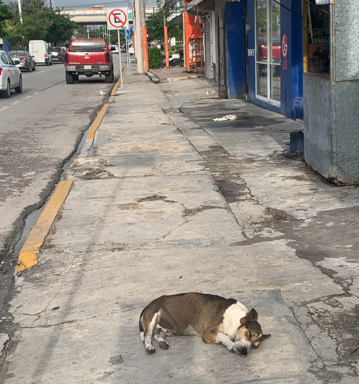 Mexico sidewalk