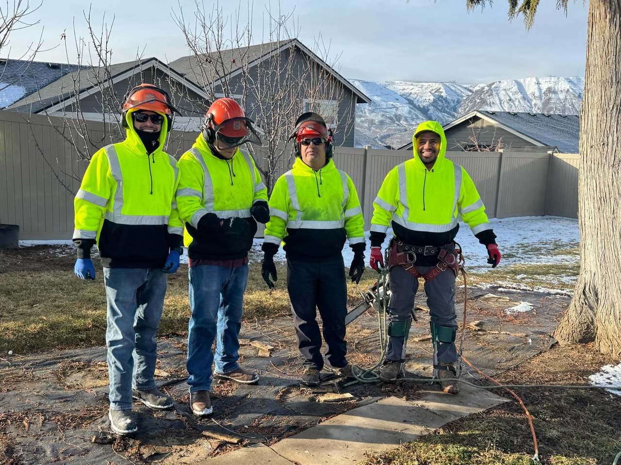 P & H tree service and landscaping project 2