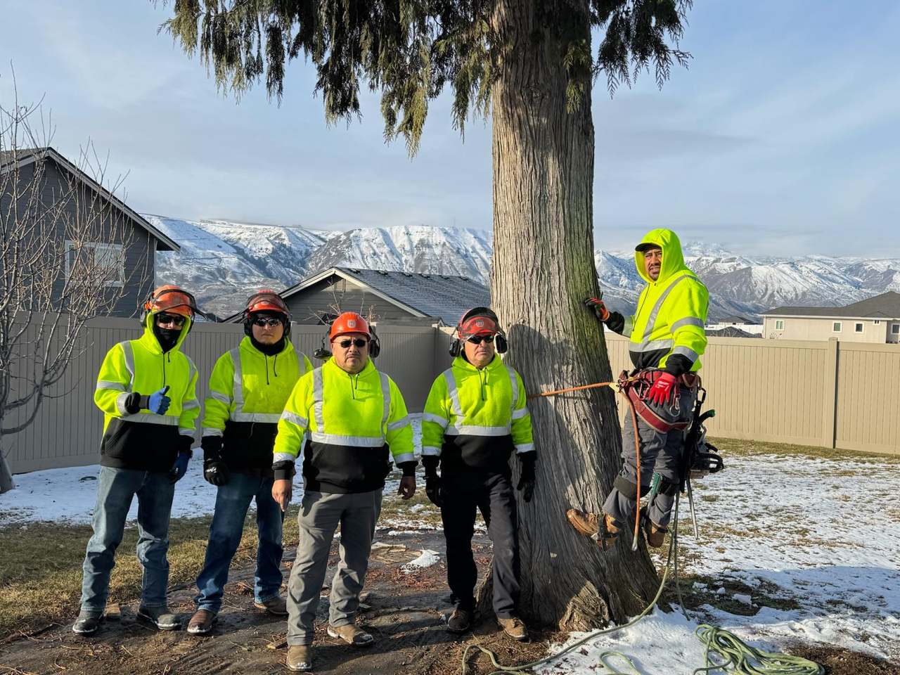 P & H tree service and landscaping project 1