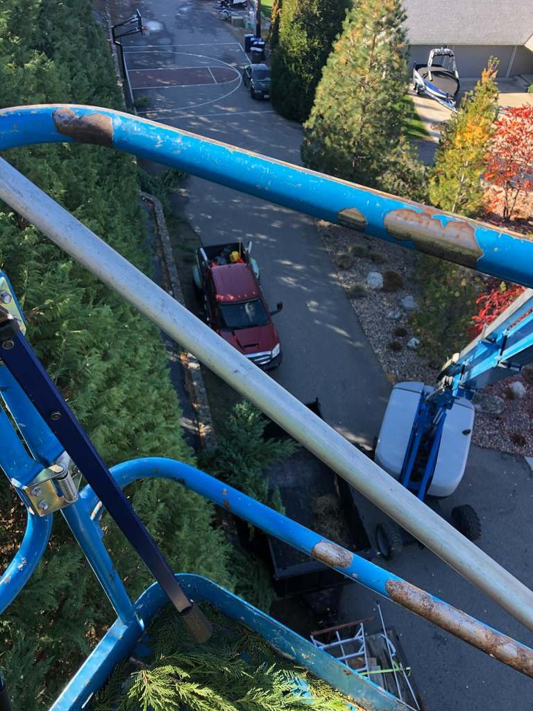 P & H tree service and landscaping project 29
