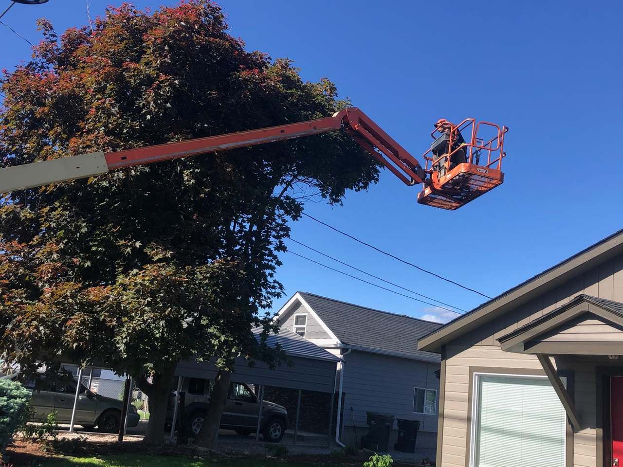 P & H tree service and landscaping project 8