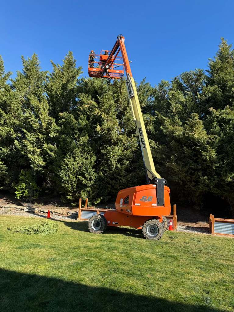 P & H tree service and landscaping project 5