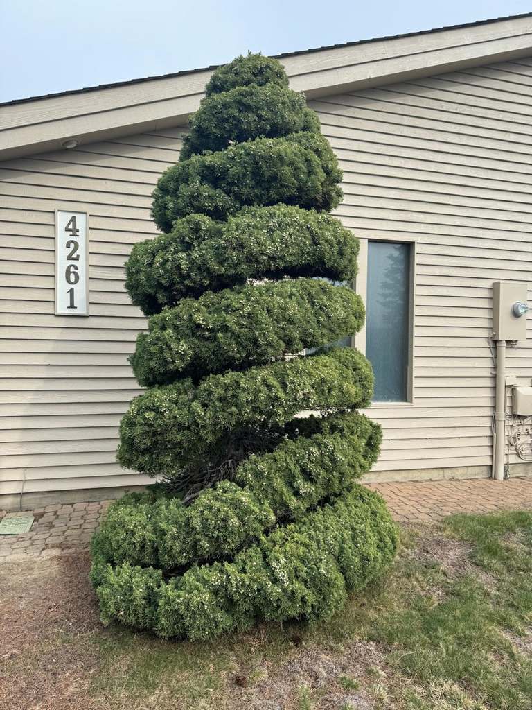 P & H tree service and landscaping project 3