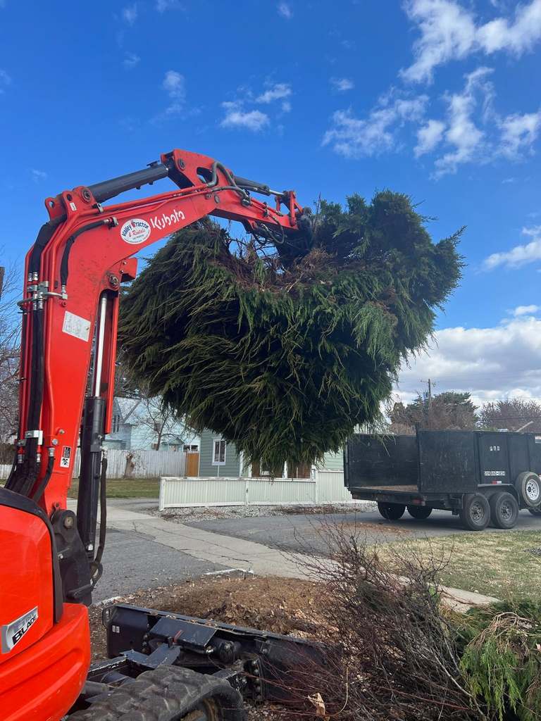 P & H tree service and landscaping project 10