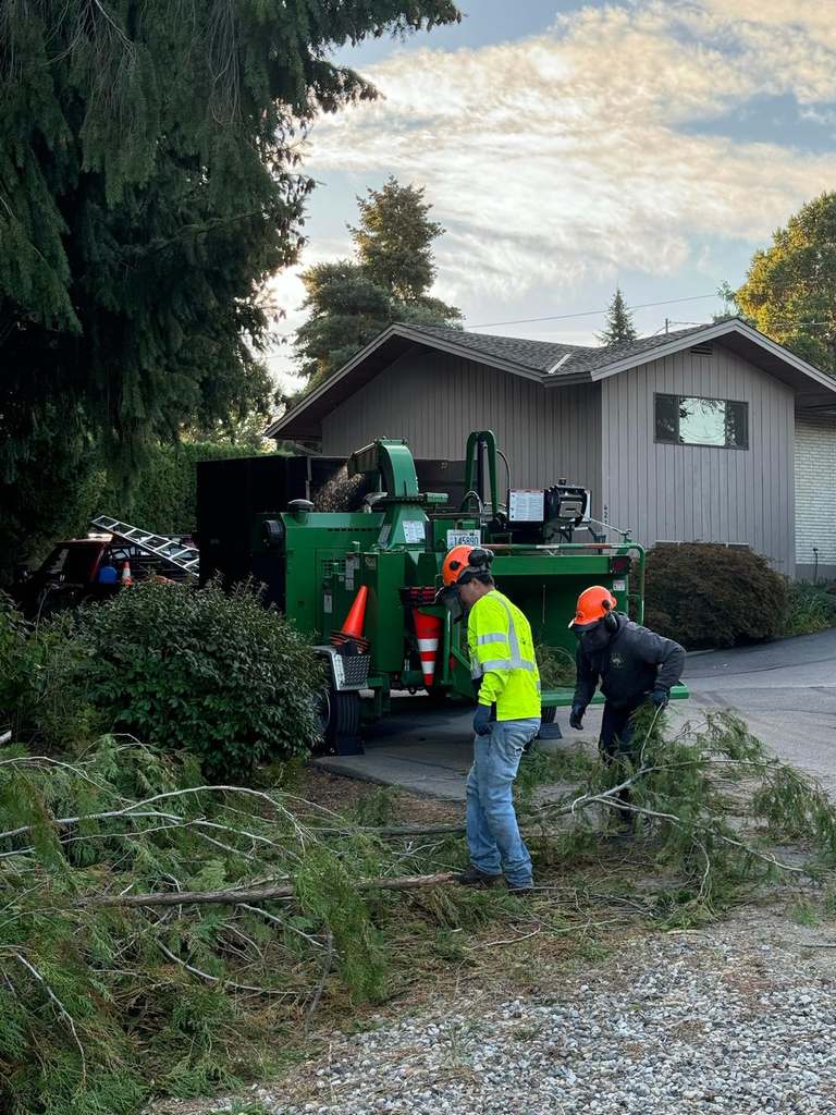 P & H tree service and landscaping project 13
