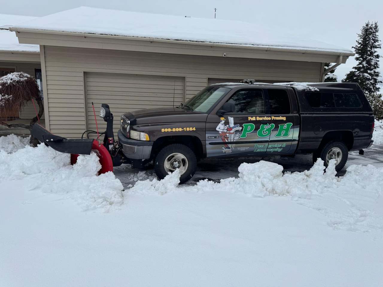 P & H tree service and landscaping project 12
