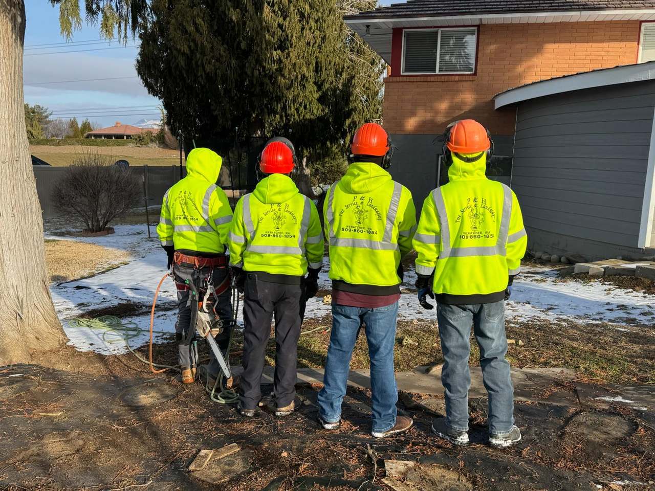 P & H tree service and landscaping project 11