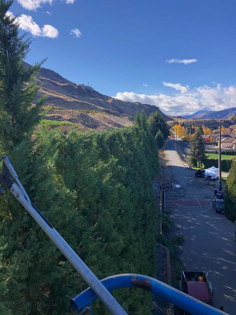P & H tree service and landscaping project 17
