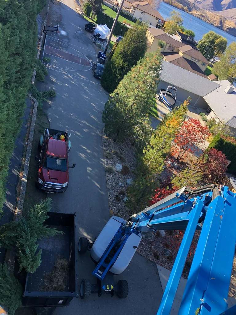 P & H tree service and landscaping project 18