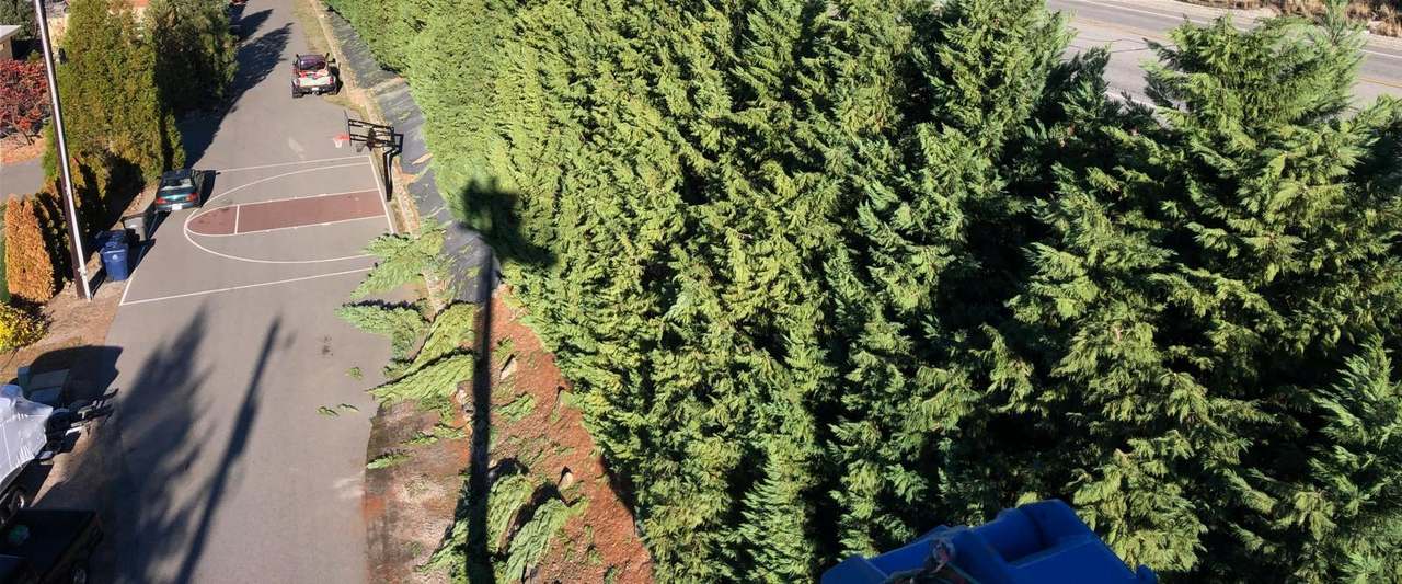 P & H tree service and landscaping project 24