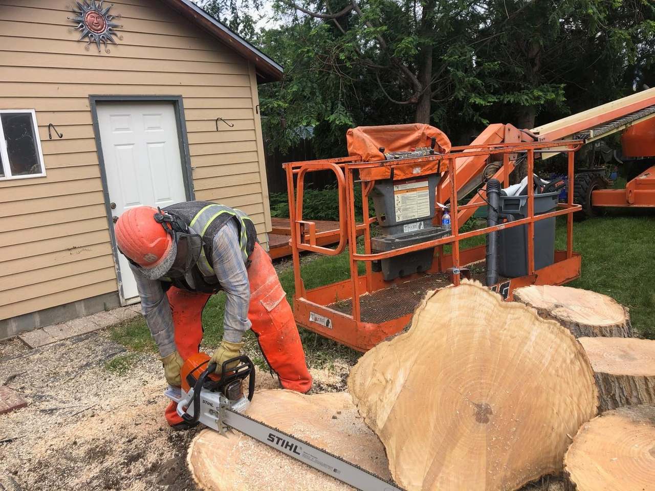 P & H tree service and landscaping project 21