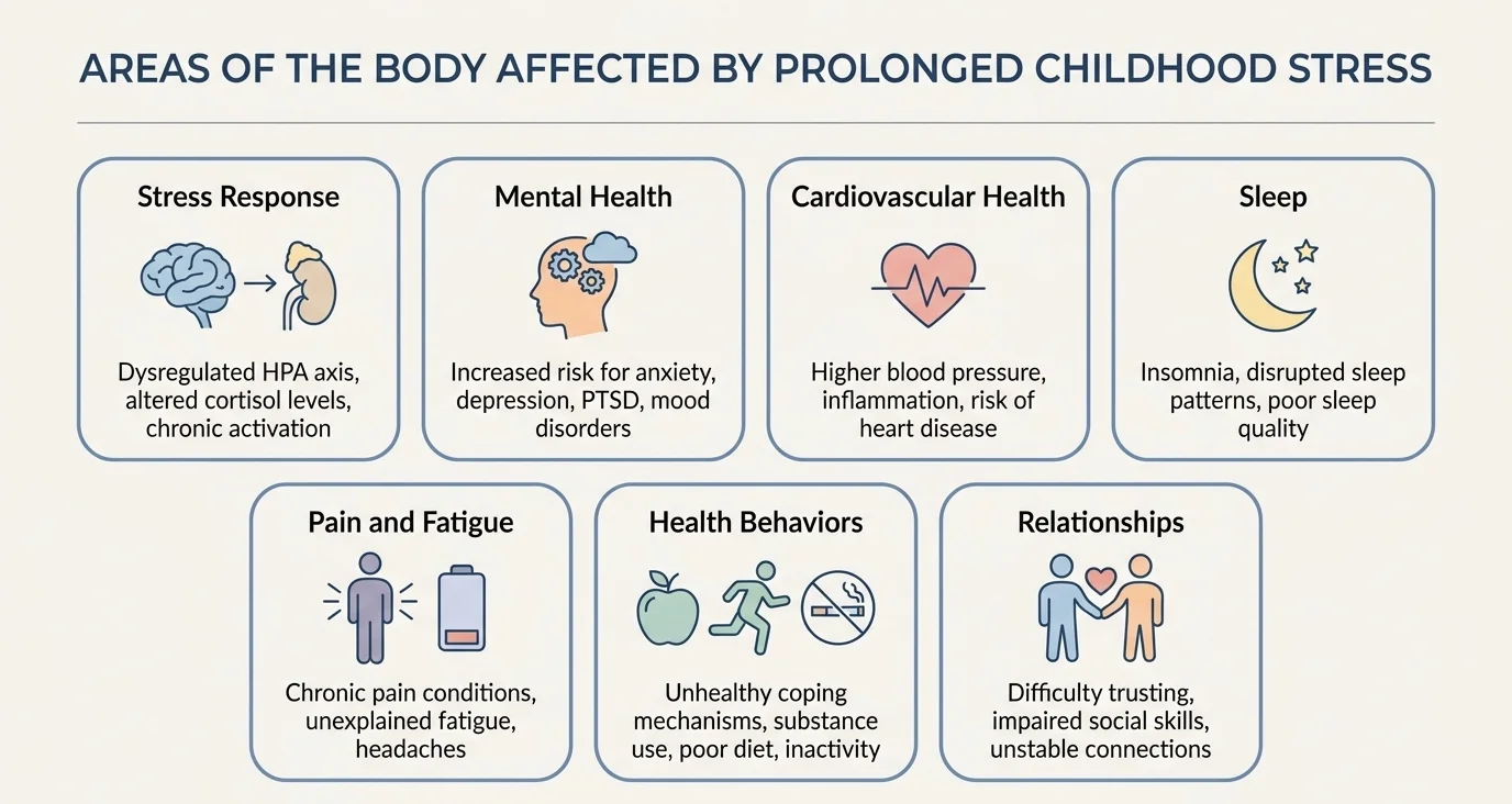 Infographic showing the long-term effects of childhood trauma on the body Infographic showing the long-term effects of childhood trauma on the body