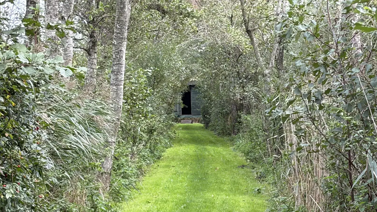 Vogelbeobachtungshütte am Deich- und Sielmuseum
