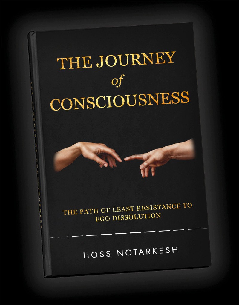 The Journey of Consciousness book cover