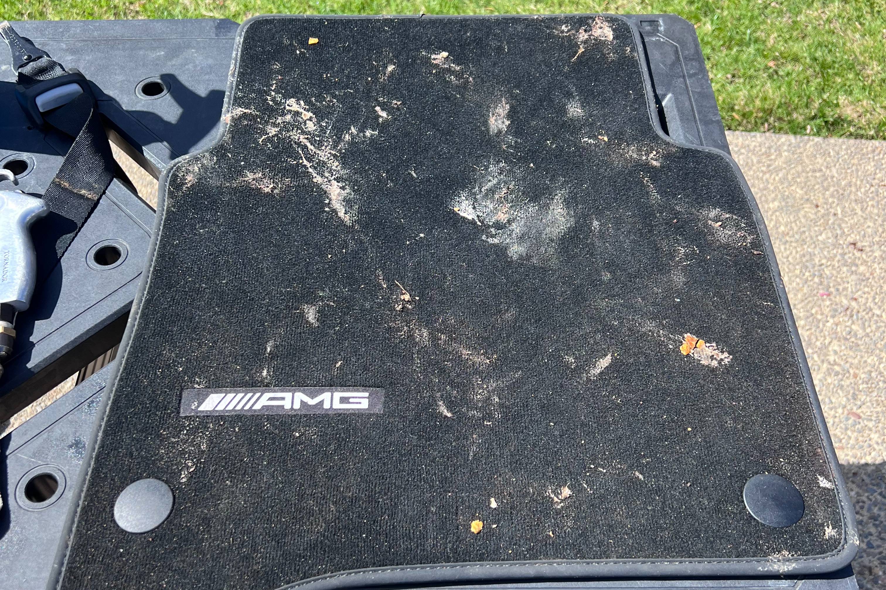 before auto detailing Toronto