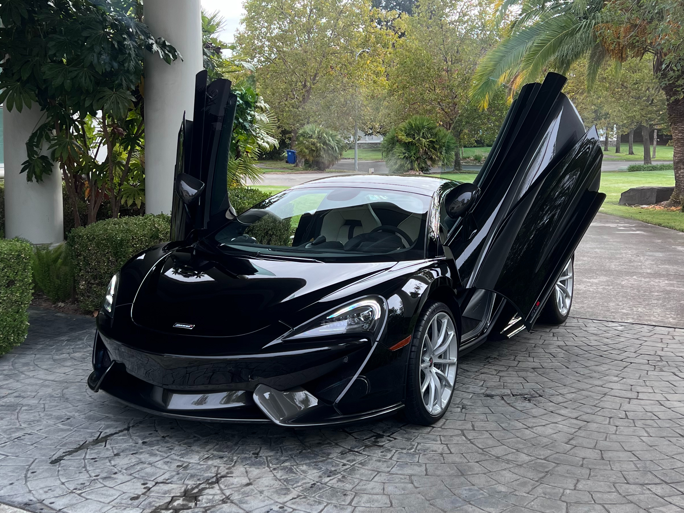 auto detailing Santa Rosa