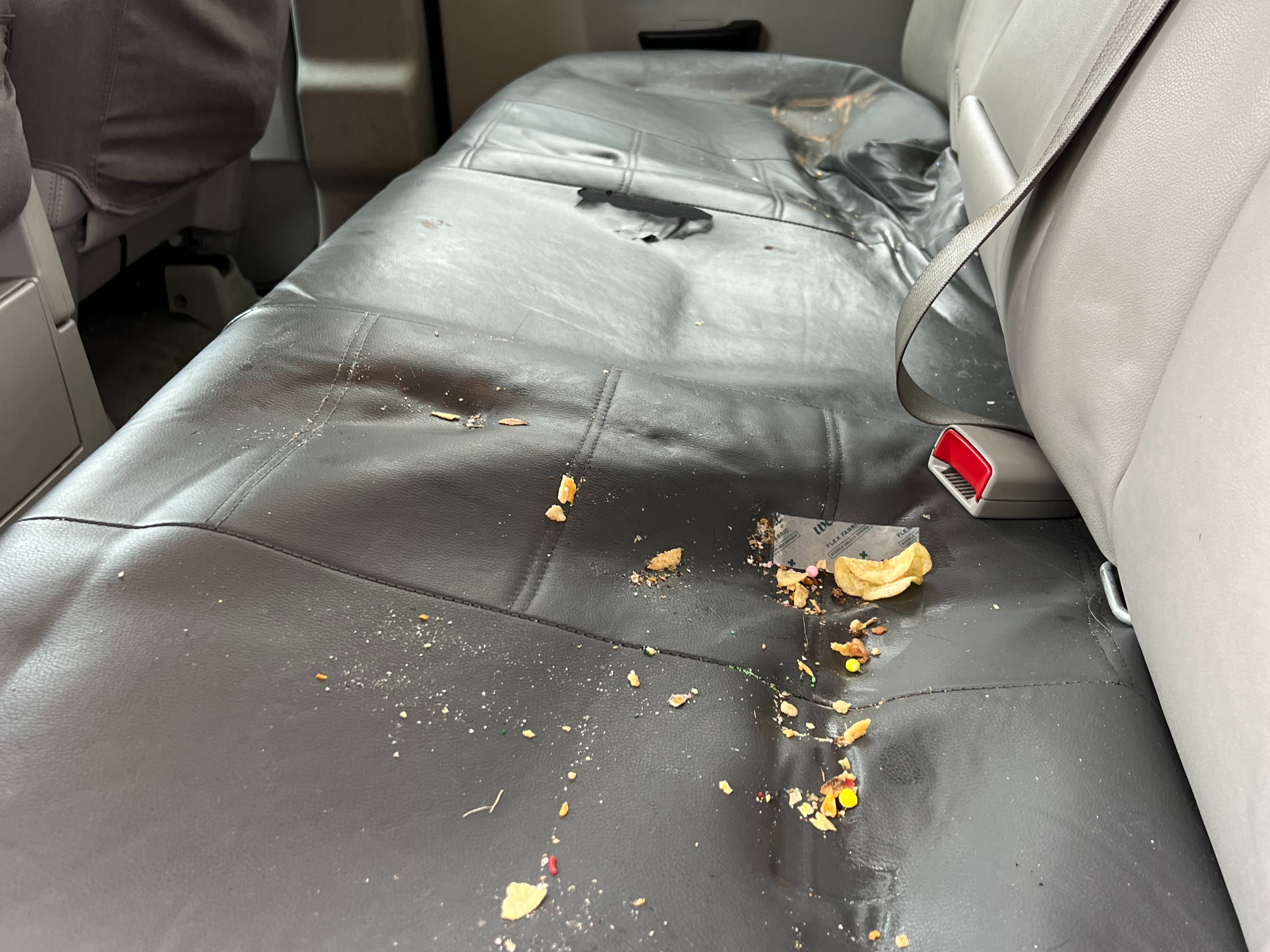 before auto detailing Roseville