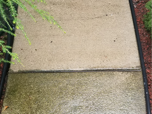 Pressure Washing 