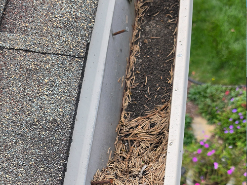 Middleton Pressure Washing