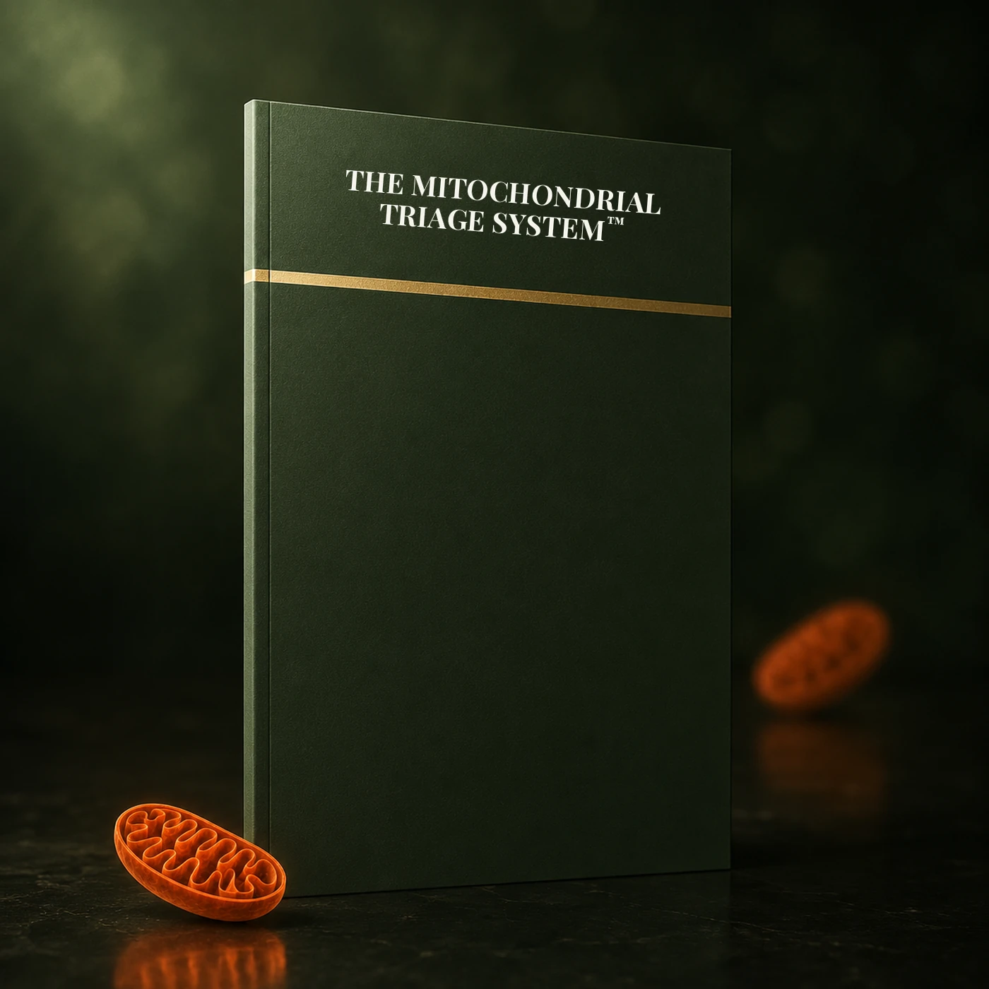 The Mitochondrial Triage System guide