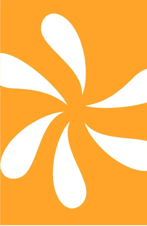 Scarab Coffee drip box