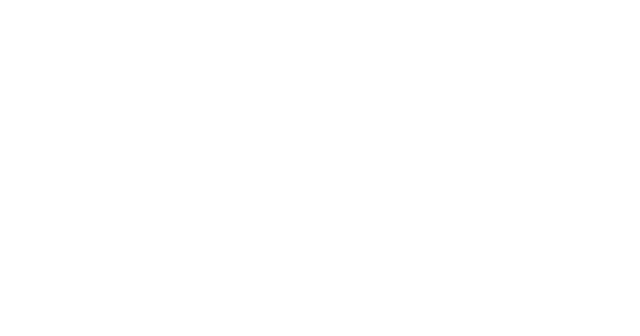 Cali Ice Protein logo
