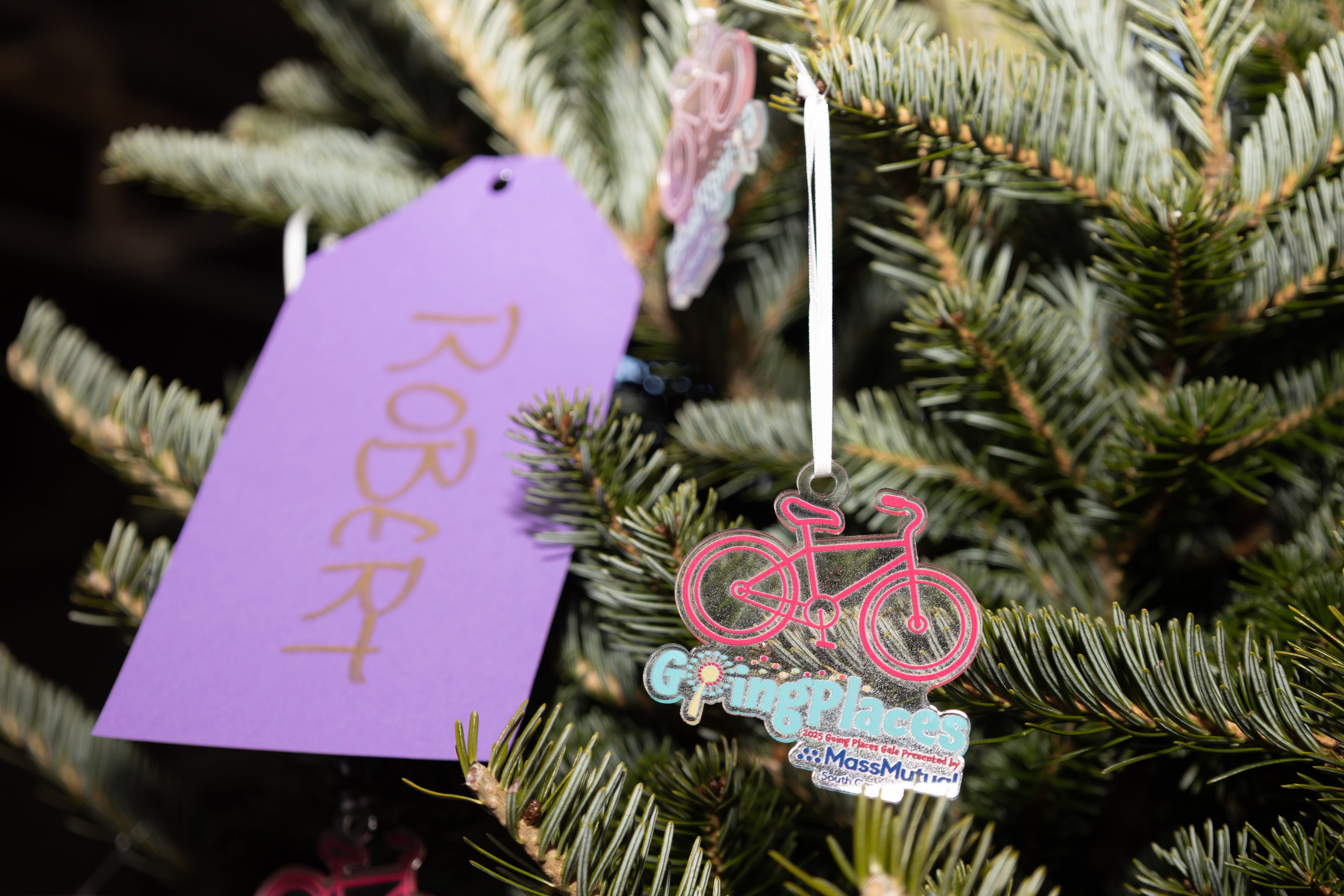 Ornaments hanging on a Wonderland Wishing Tree at Build for Joy