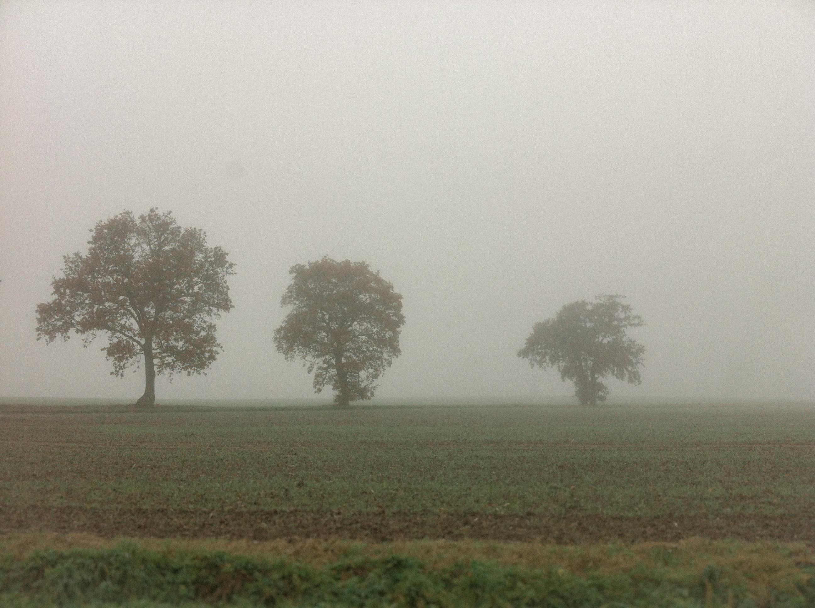 Searching for inspiration in the fields on days off