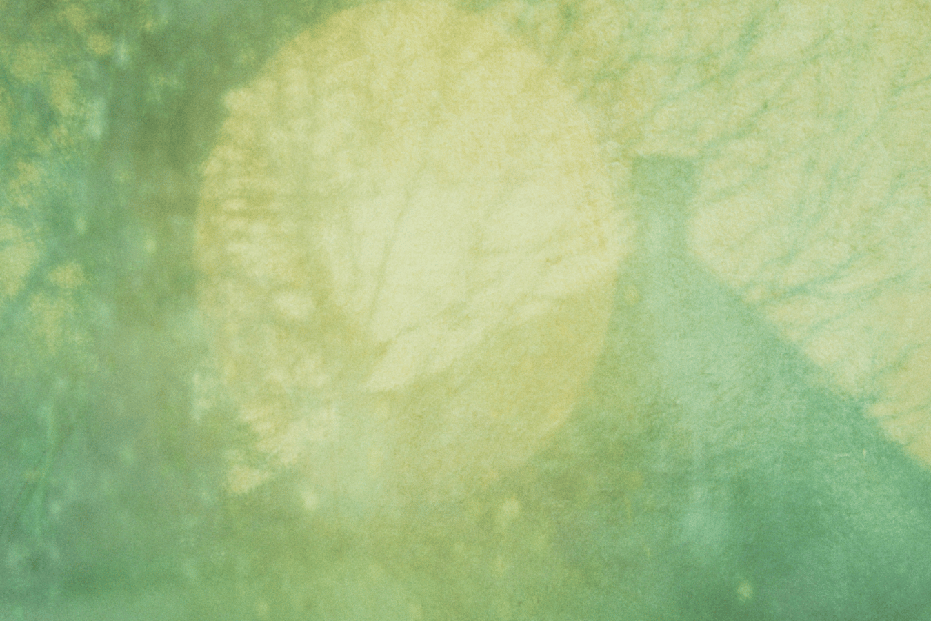 The Green Kingdom - Vespera
