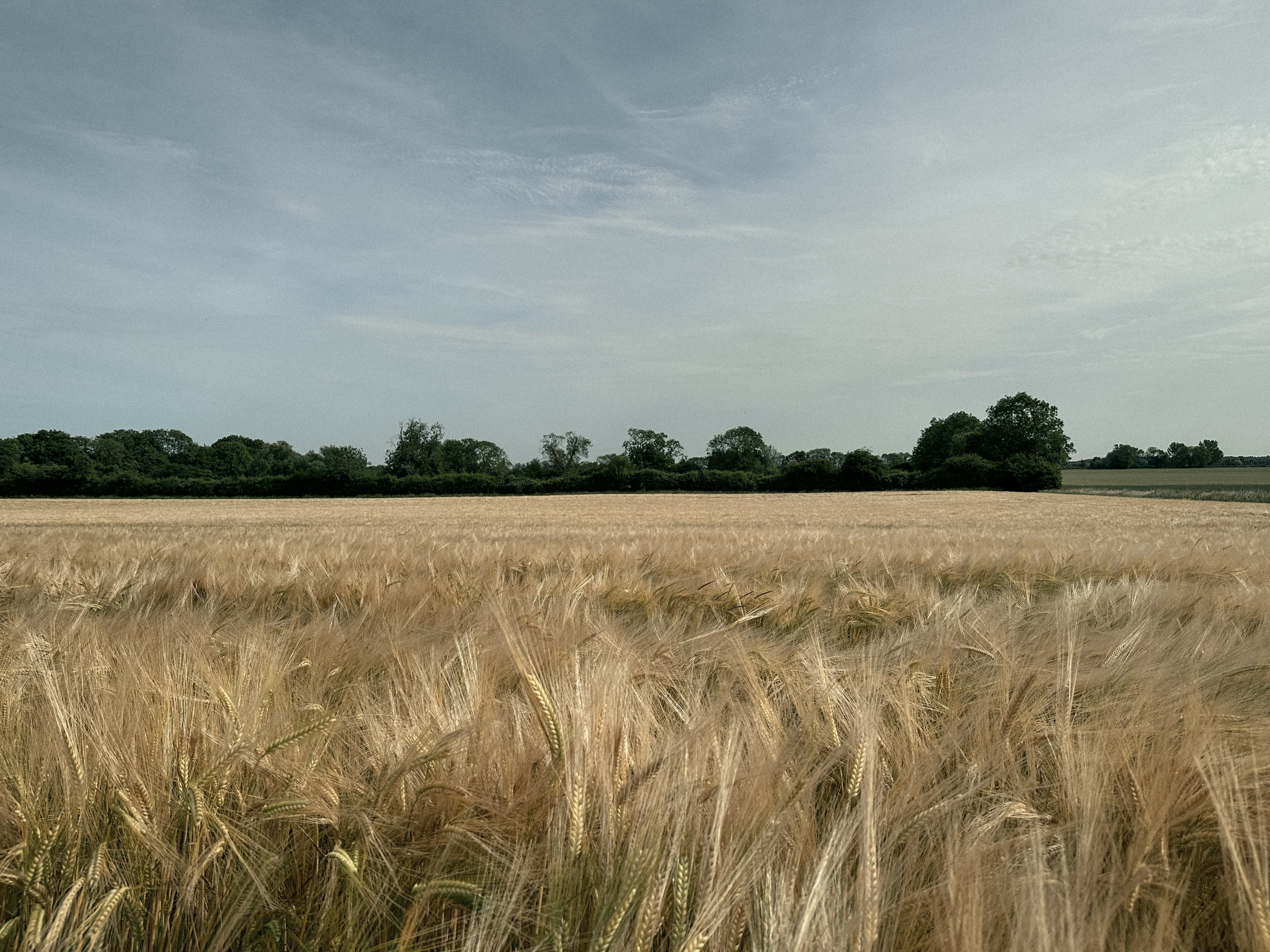 Morton, Lincolnshire Morton, Lincolnshire