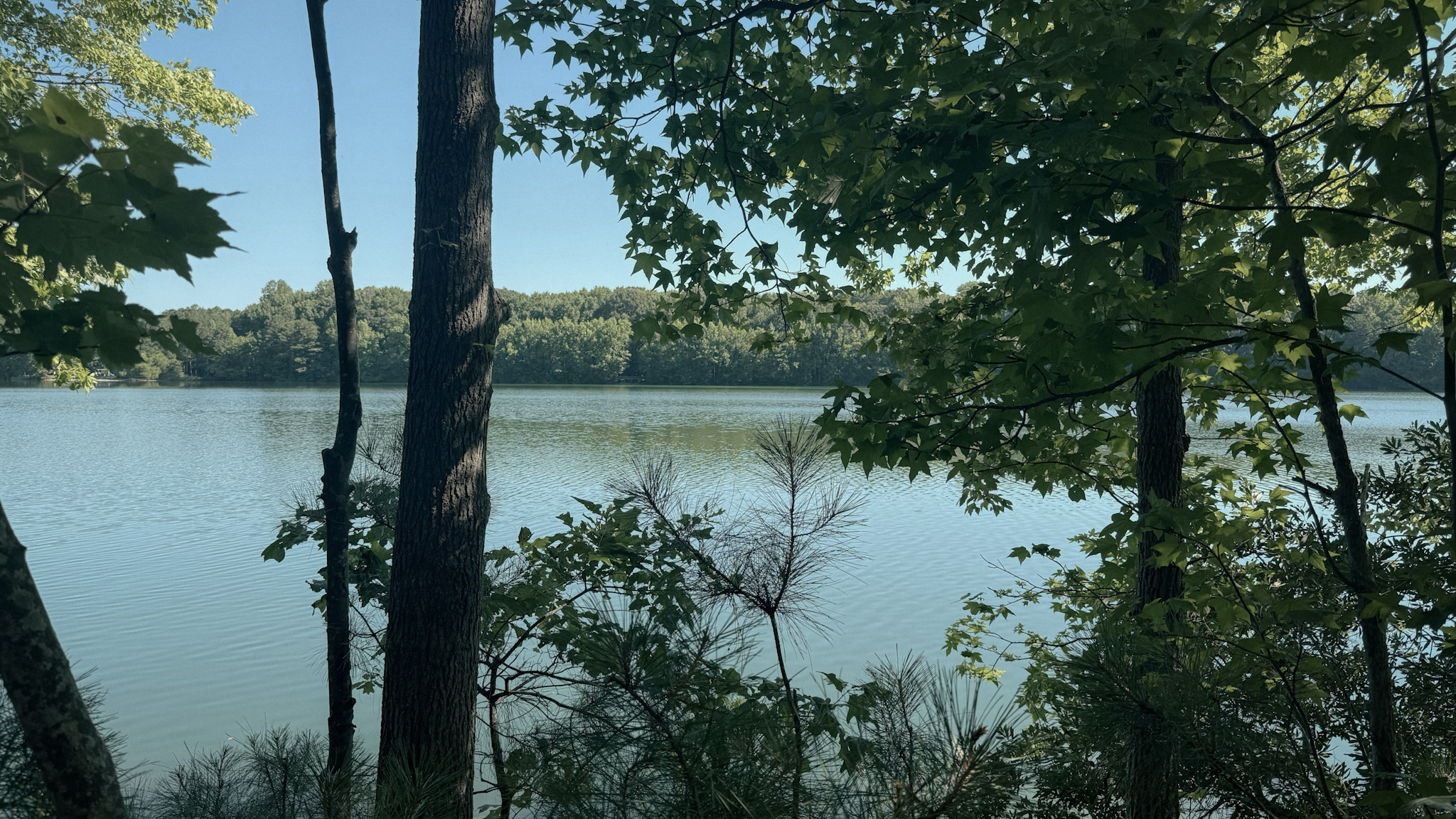 oak grove lake park - chesapeake VA oak grove lake park - chesapeake VA