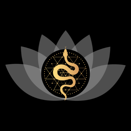 Feminine Wealth Movement