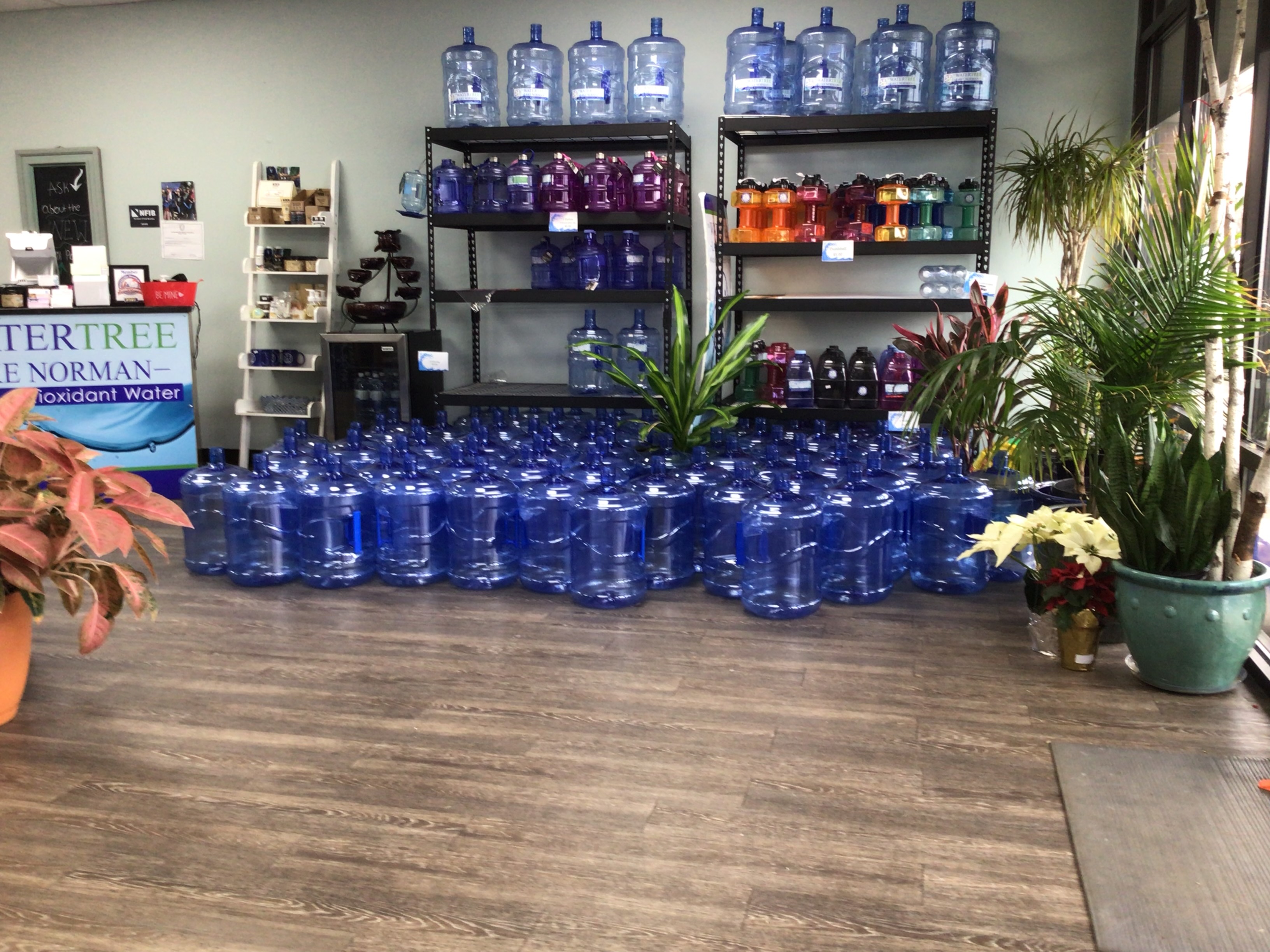 Lake Norman WATERTREE store interior