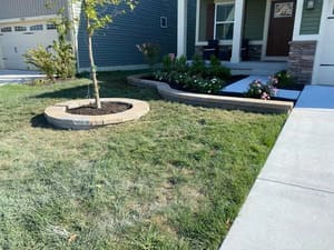 {{ custom_values.service_3 }} in {{custom_values.area_3})