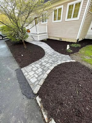 {{ custom_values.service_3 }} in {{custom_values.area_3})