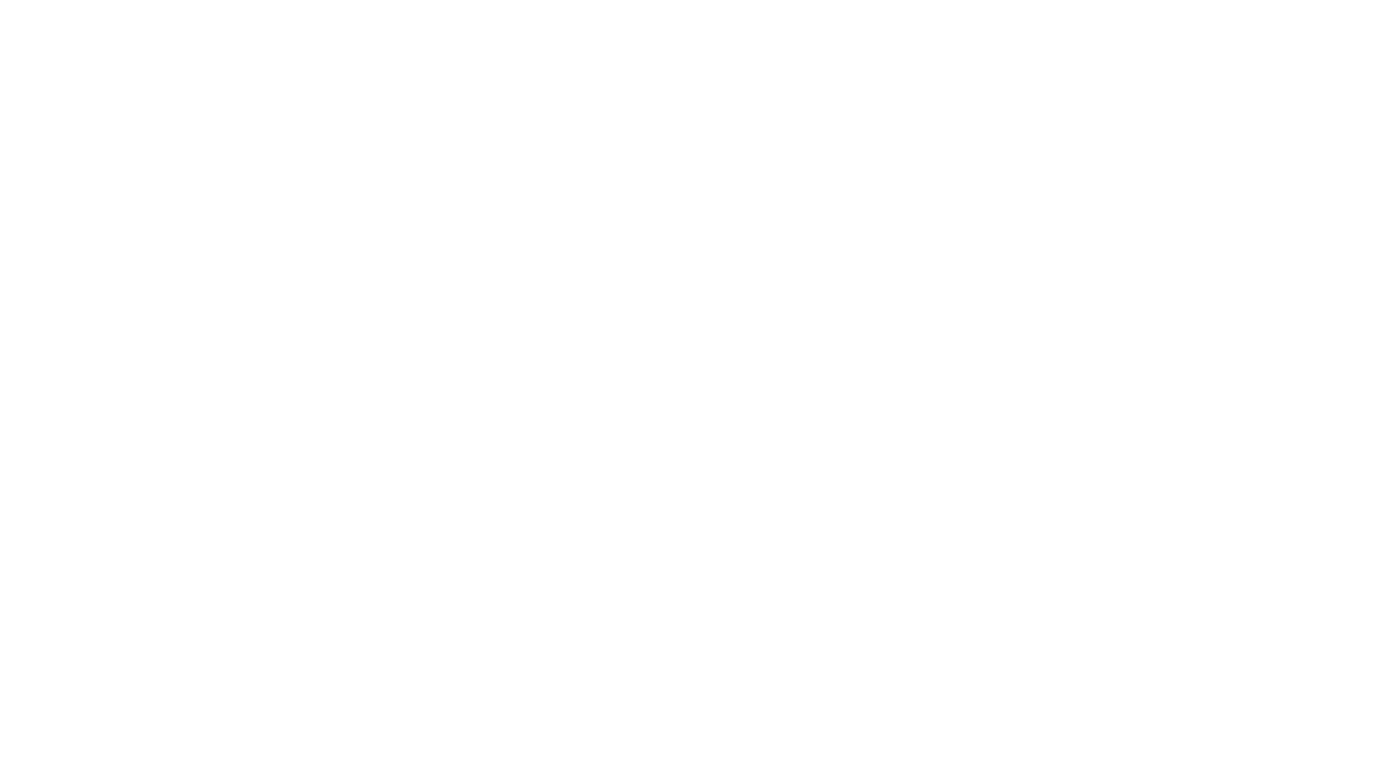 Brooks Performance