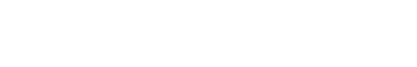 FSO Academy