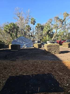 {{ custom_values.service_1 }} in {{custom_values.area_2})