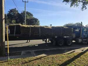 {{ custom_values.service_1 }} in {{custom_values.area_1})