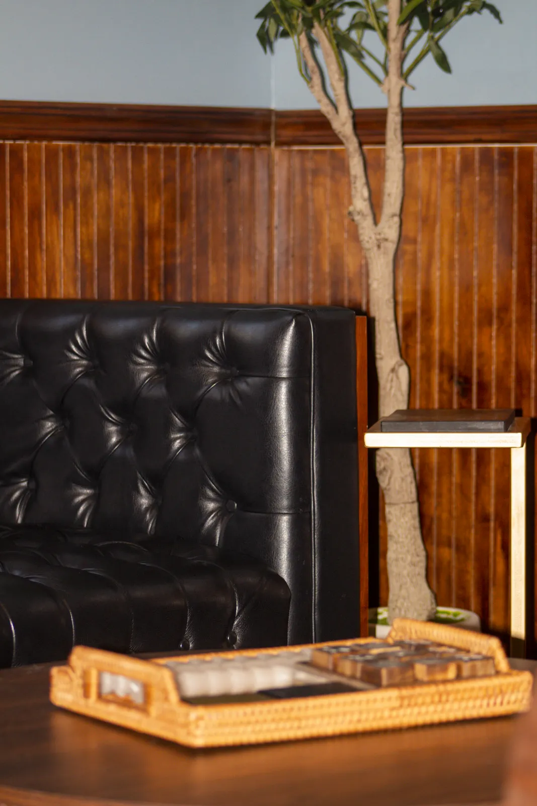 Lounge couch with tree and evening light