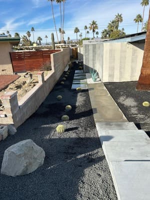 Tree Removal in Palm Springs, CA