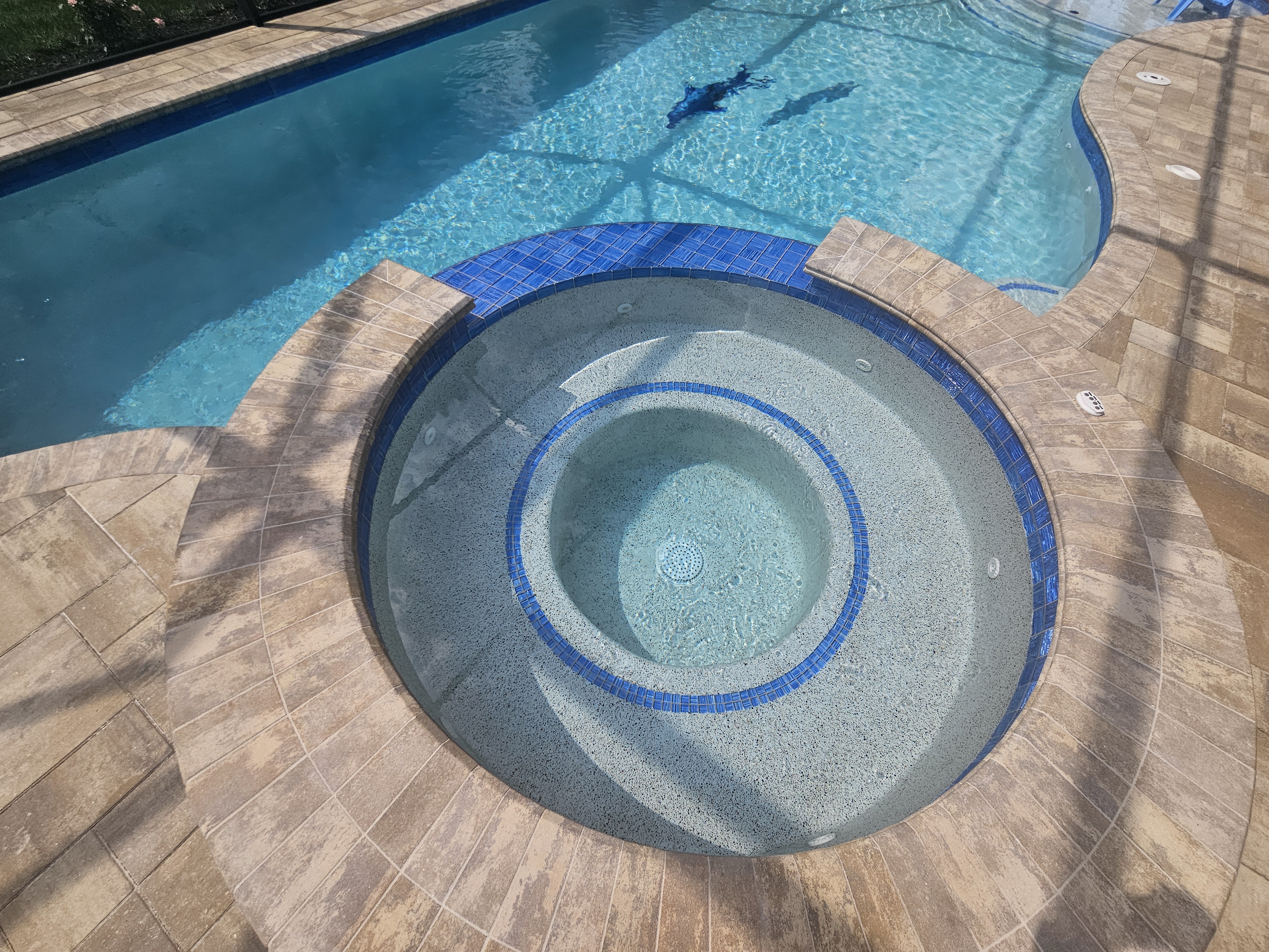 Custom step tile work, coping edge, and built-in bar feature by Design Concepts