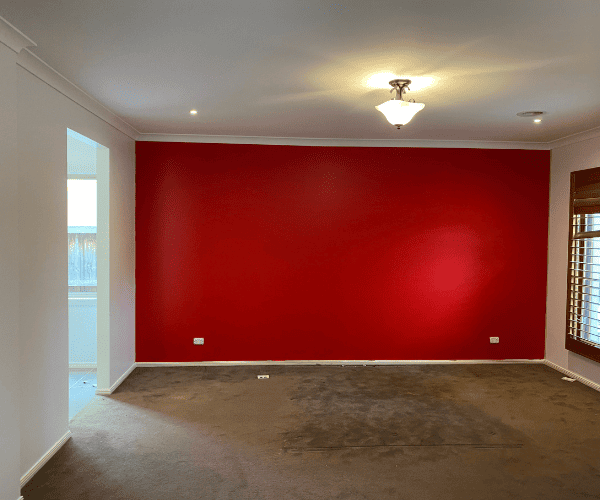 Chadstone Roof Painting