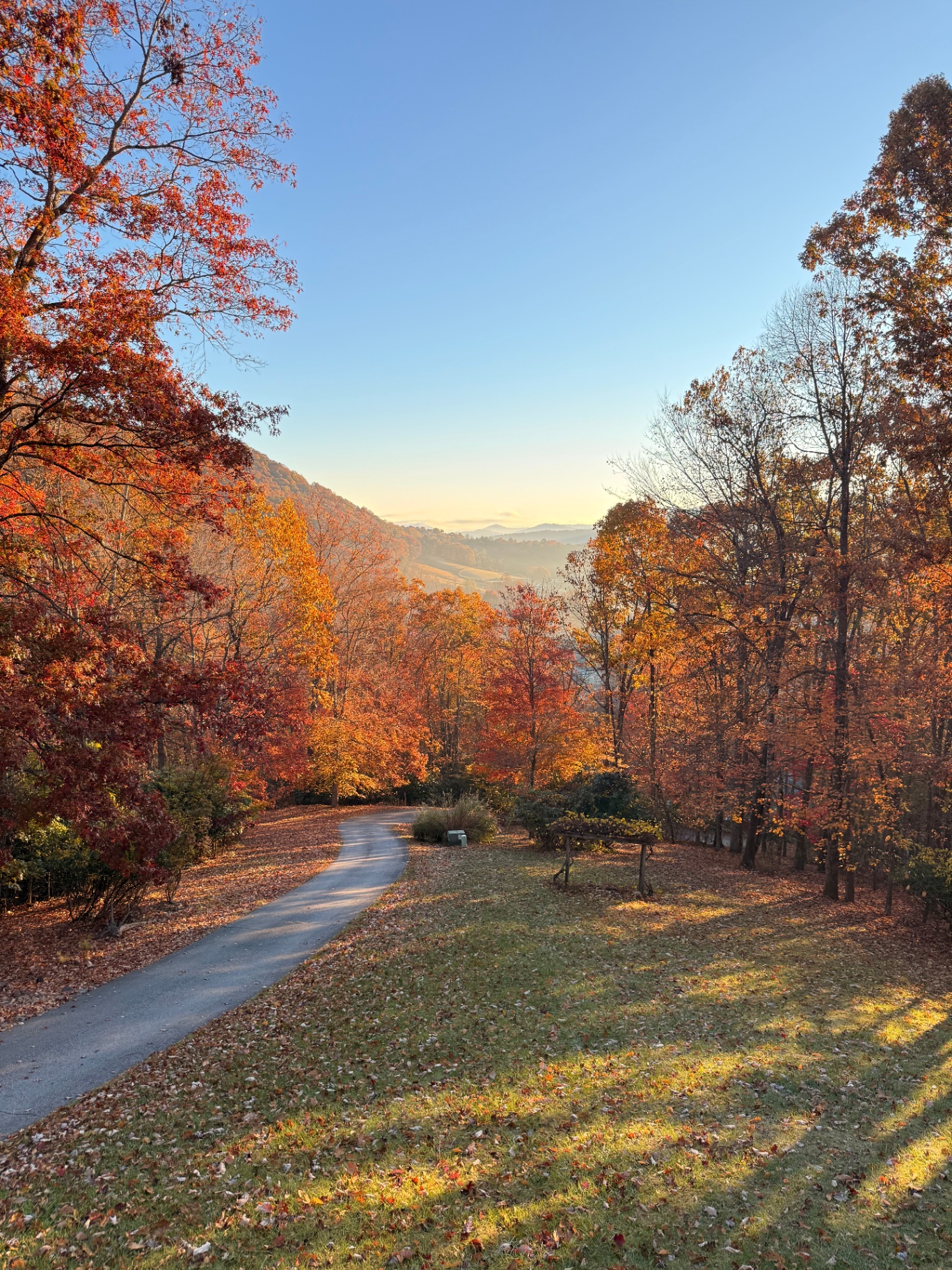Candler, NC
